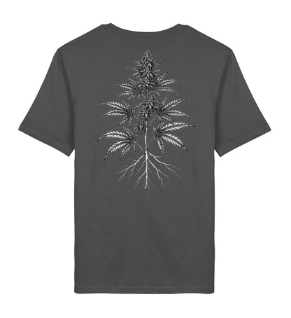Anthracite-6903