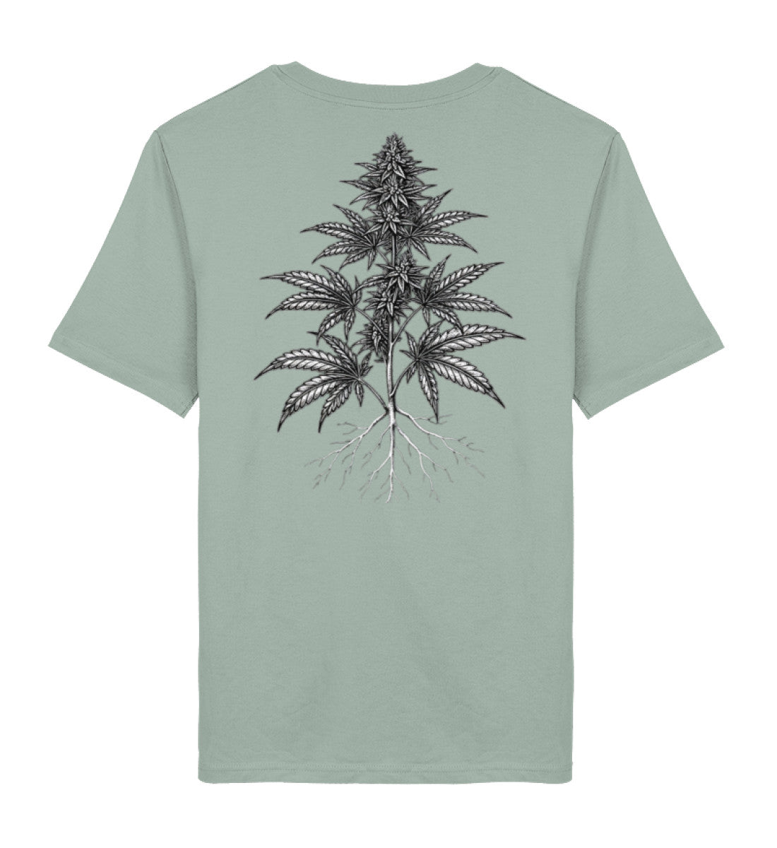 Aloe-7137