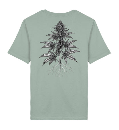 Aloe-7137
